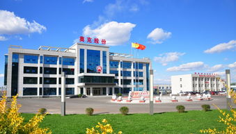 liaoning oxiranchem,,inc. technology development research results