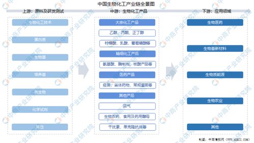 2021年中国生物化工产业链上中下游市场剖析 附产业链全景图